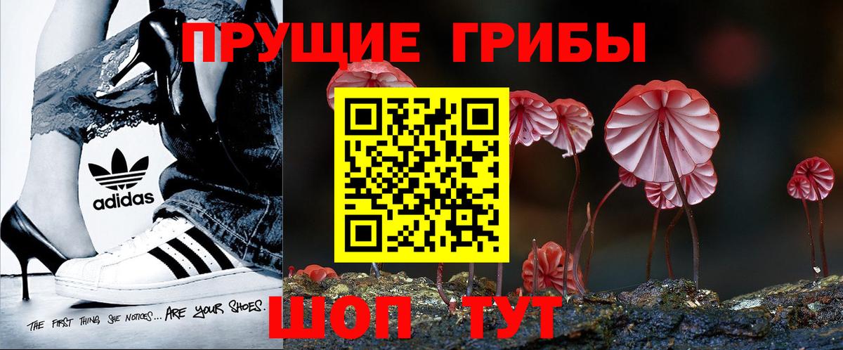 Псилоцибиновые грибы Psilocybine cubensis Пушкино