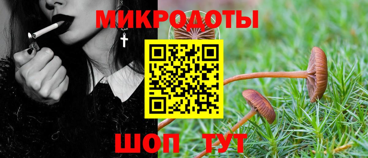 Галлюциногенные грибы Cubensis  Галлюциногенные грибы мицелий  Пушкино  Вход с VPN 